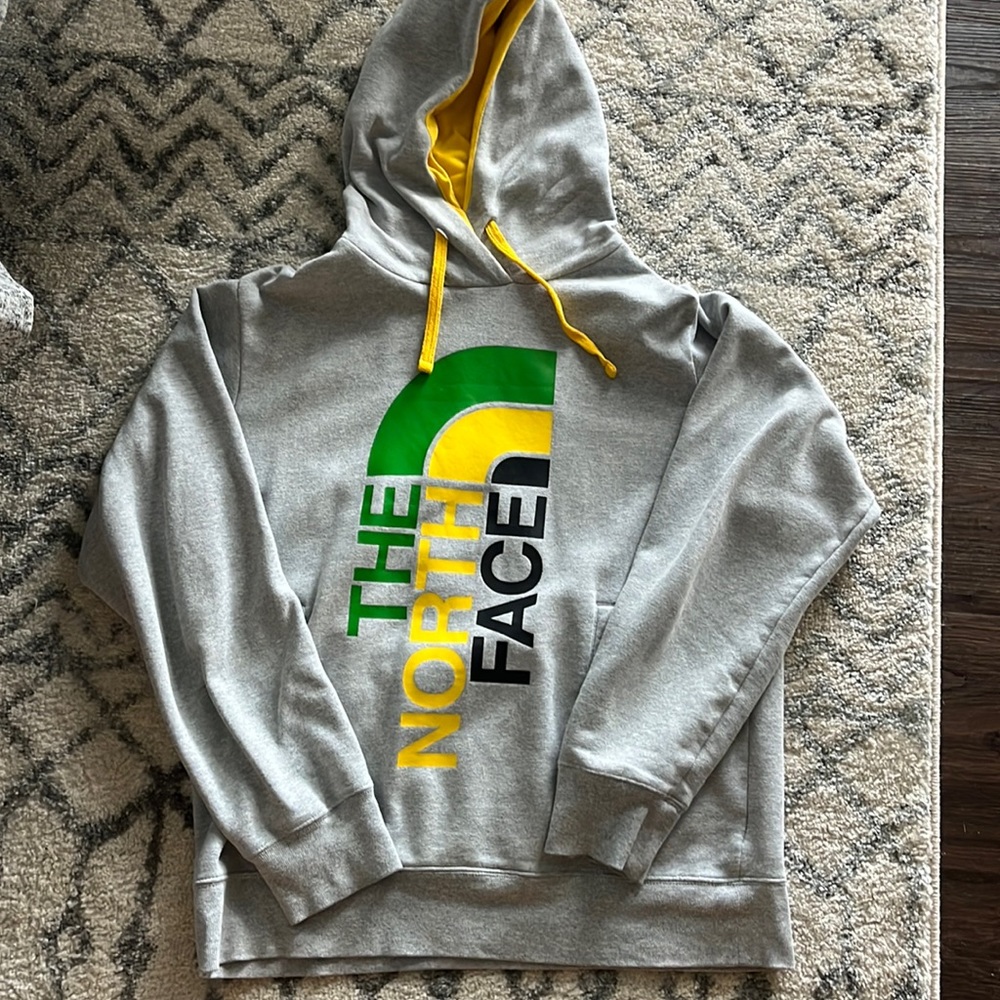 THE NORTH FACE HOODIE (medium)